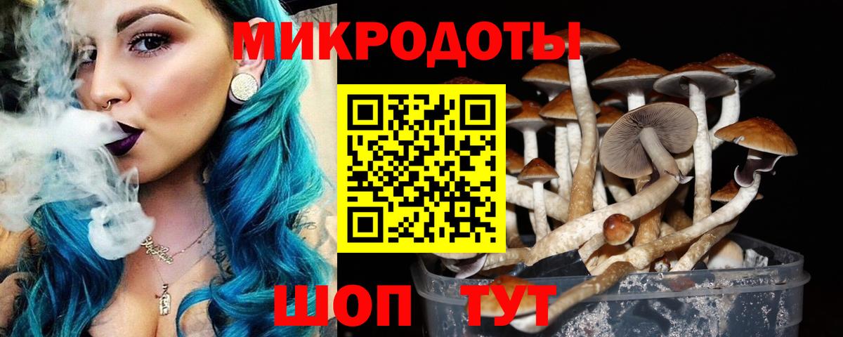 наркотики  Псилоцибиновые грибы мицелий  Ступино  Вход с VPN  Псилоцибиновые грибы прущие грибы 