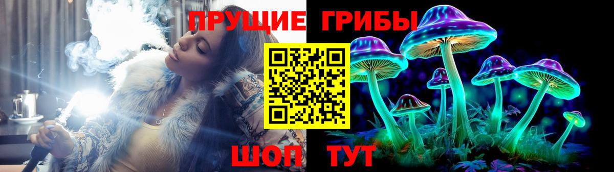 Псилоцибиновые грибы прущие грибы Ступино